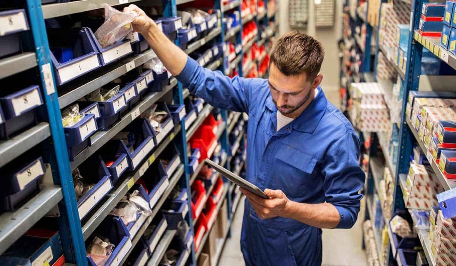 Auto Parts Retailers