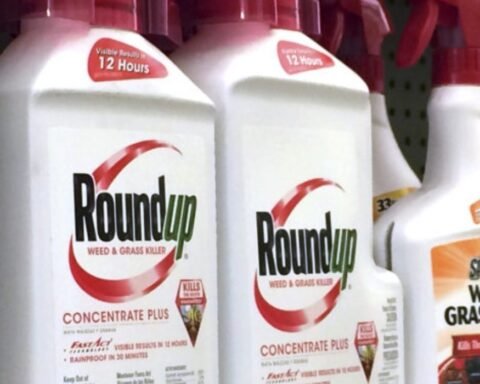 Roundup Weed Killer