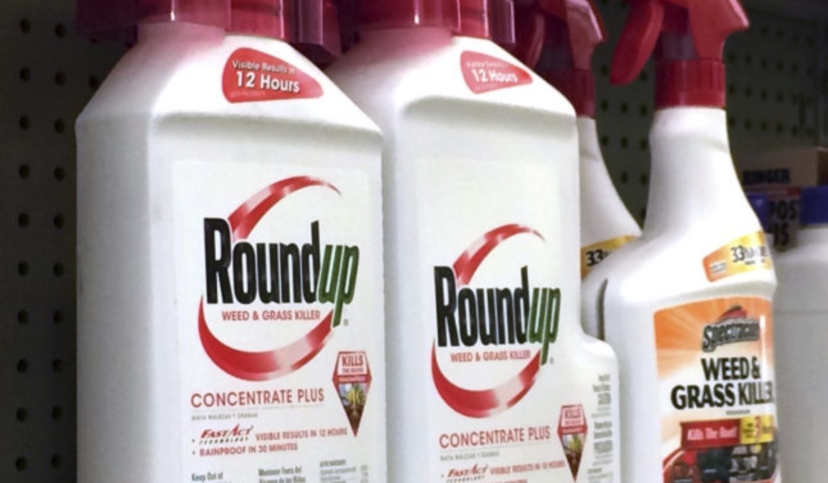 Roundup Weed Killer