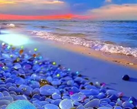 glass pebble beach at night