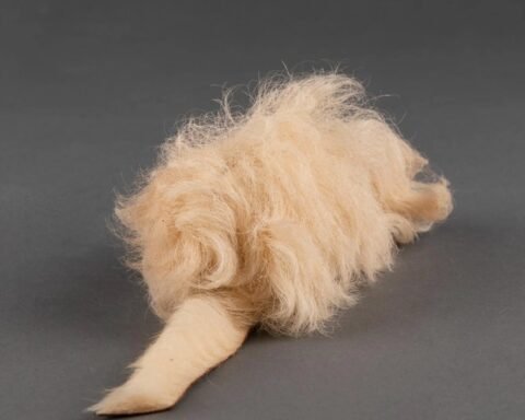 Heardfurball852