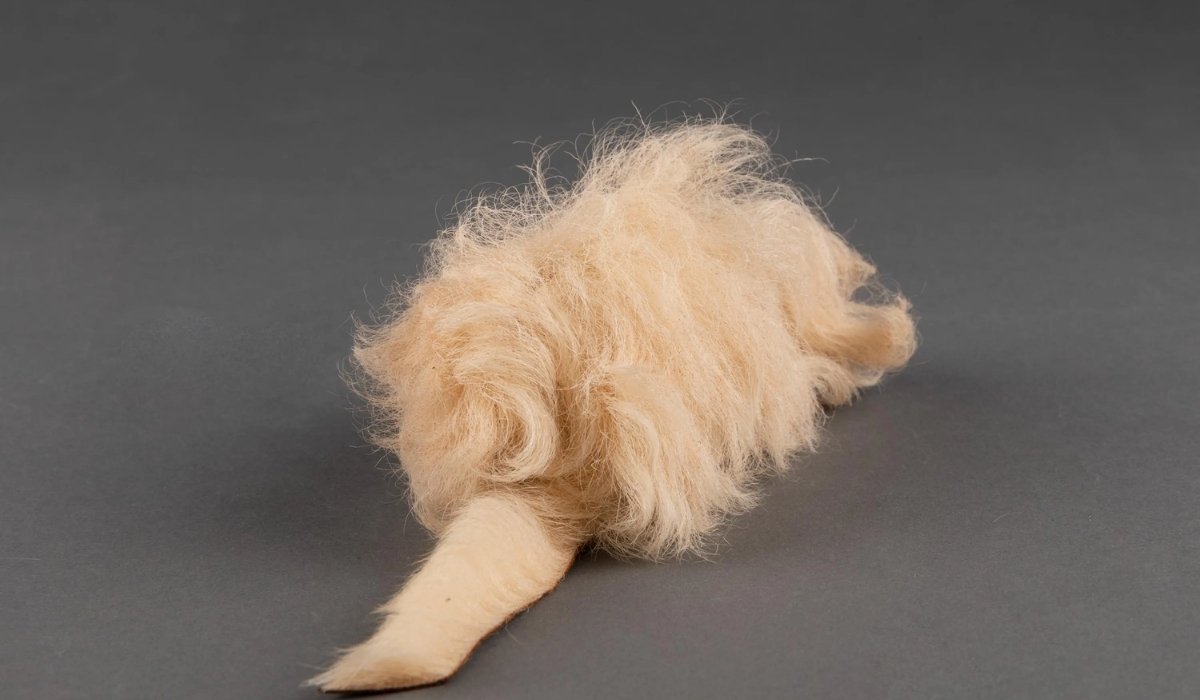 Heardfurball852