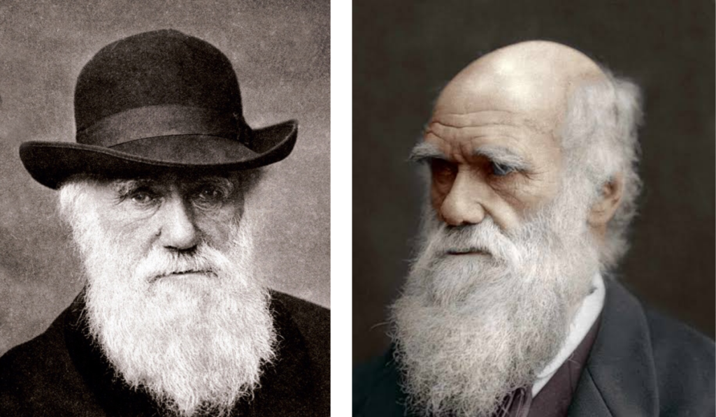 Charles Darwin