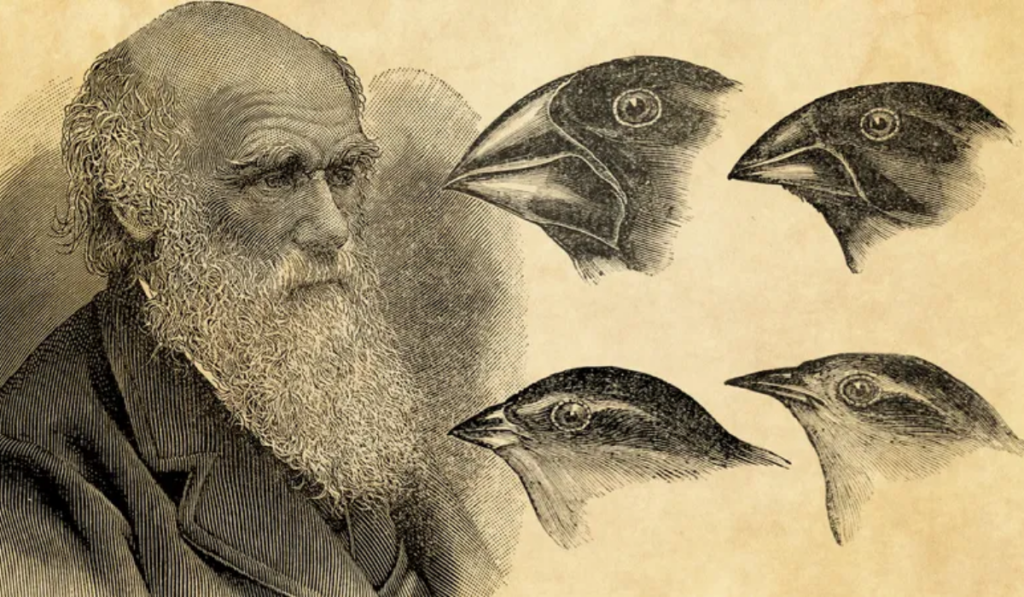 Charles Darwin
