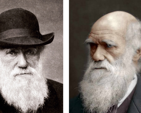 Charles Darwin