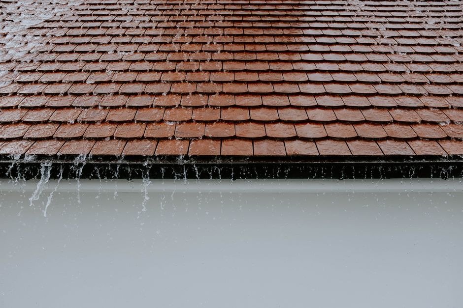 Exterior Upgrades That Protect Your Home While Improving Curb Appeal