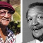 Redd Foxx Net Worth